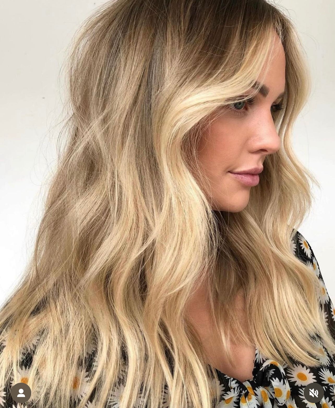 Bohemian Blends COLOUR EDUCATION with Sheree Knobel x Mikki Auld