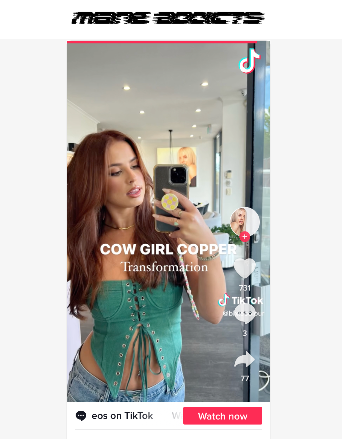 Cow Girl Copper Hair Trend // Mane addicts  // Sheree Knobel